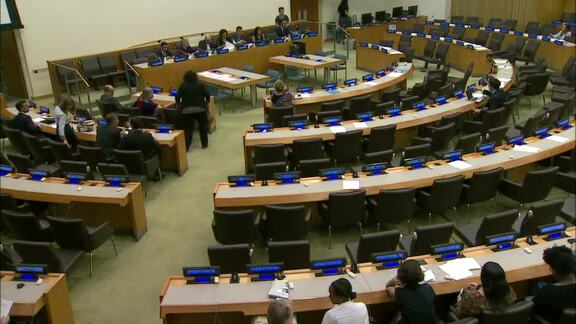 Committee on Exercise of Inalienable Rights of Palestinian People - Part 2