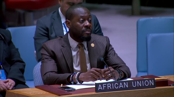 Cooperation between the United Nations and regional and subregional organizations (AU) - Security Council, 10233rd meeting