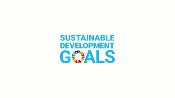 The Media: Catalysts for Social Impact - SDG Media Zone, 79th Session of the UN General Assembly