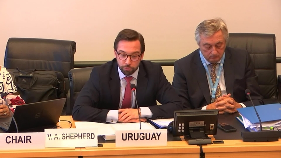 2990th Meeting, 110th Session, Committee on the Elimination of Racial Discrimination (CERD)