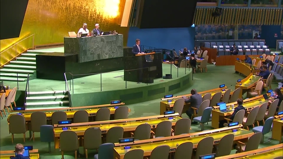 General Assembly: 54th plenary meeting, Tenth emergency special session (resumed)
