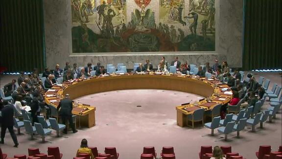 8315th Security Council Meeting: Situation in Afghanistan