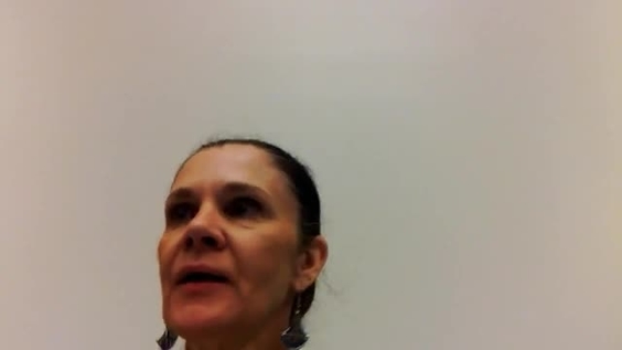 Aportaciones de Costa Rica – 1508ª Sesión Plenaria, 67° Periodo de Sesiones del Comité para la Eliminación de la Discriminación Contra la Mujer 