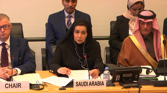 3112nd Meeting, 114th Session, Committee on the Elimination of Racial Discrimination (CERD)