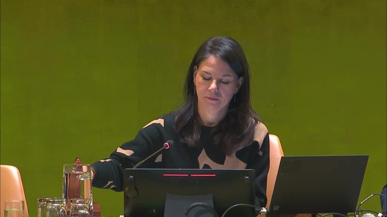 General Assembly: 67th Plenary meeting, 80th session