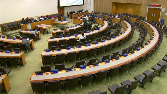 (9th plenary meeting) Special Committee on Decolonization (C-24) - 2024 resumed session
