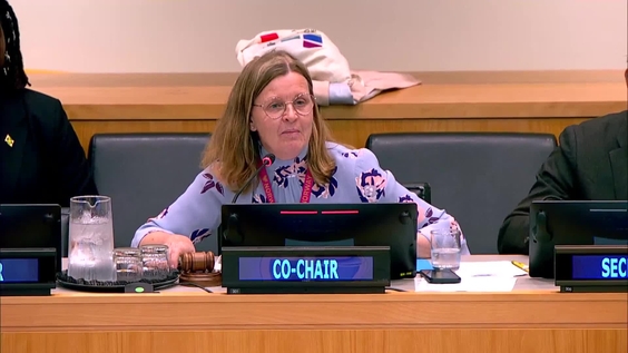 Ad hoc Working Group on Mandate Implementation Review - Informal Consultations, General Assembly, 80th session