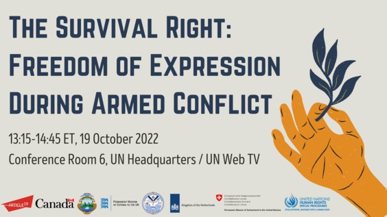 Disinformation and freedom of expression during armed conflicts