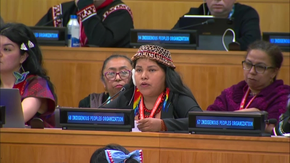 (5th meeting) UN Permanent Forum on Indigenous Issues, 25th session