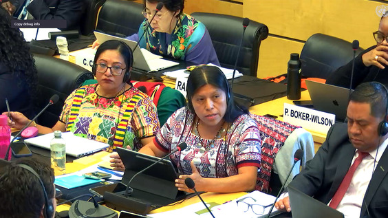 3172nd Meeting, 116th Session, Committee on the Elimination of Racial Discrimination (CERD)