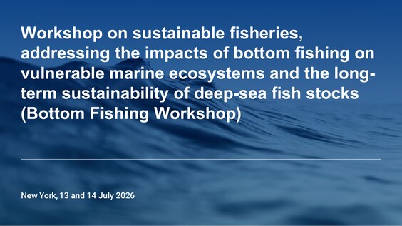 (Segment 2) Workshop on sustainable fisheries, addressing the impacts of bottom fishing on vulnerable marine ecosystems and the long-term sustainability of deep-sea fish stocks