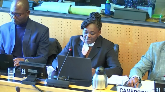 2162e réunion, 81e session, Comité contre la torture (CAT)