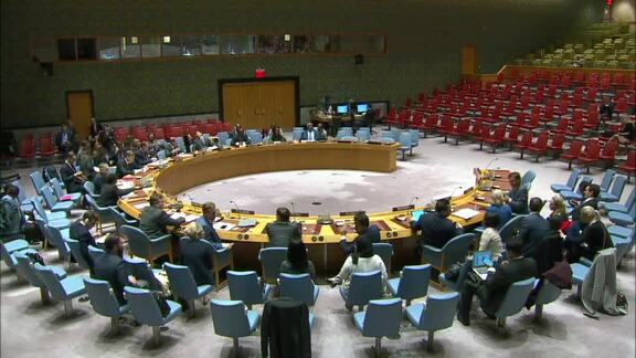 8647th Security Council Meeting: Situation in Somalia