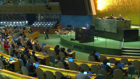 General Assembly: 56th plenary meeting, 80th session