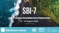 Seventh meeting of the Subsidiary Body on Implementation (SBI-7) - PM session