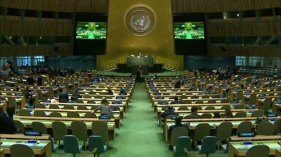 Assemblée générale, 41e séance plénière, 71e session