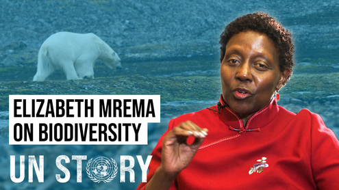 Elizabeth Mrema speaks on Biodiversity at COP15 