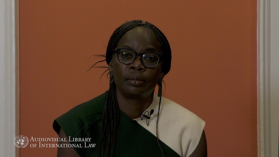 Phoebe Okowa - Protection of Natural Resources in Armed Conflict