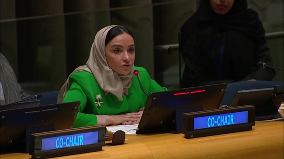 (2nd meeting) Preparatory meeting of the High-Level International Conference for the Peaceful Settlement of the Question of Palestine and the Implementation of the Two-State Solution - General Assembly, 79th session