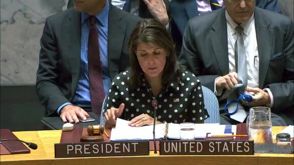8361st Security Council Meeting: Situation in Middle East