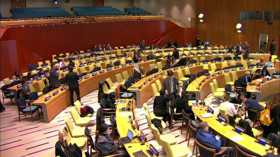 Sixth Committee, 29th meeting - General Assembly, 74th session
