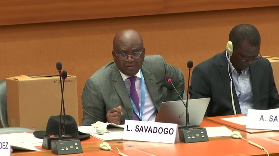 3695th Meeting, 75th Session of the International Law Commission