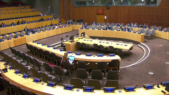 Second Preparatory Meeting for WSIS+20 overall review by the United Nations General Assembly