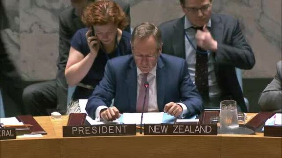 7491st Security Council Meeting on Situation in Somalia