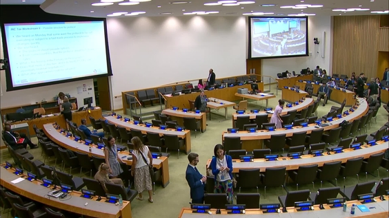 Intergovernmental Negotiating Committee on the United Nations Framework Convention on International Tax Cooperation - Second Substantive Session 2025, 6th meeting