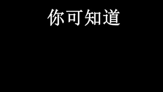年中回顾 - 伊斯坦布尔行动纲领