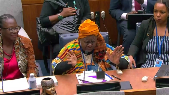 (3rd meeting) 2nd Session of the Permanent Forum on People of African Descent - Thematic Discussion: Pan-Africanism for Dignity, Justice, and Peace