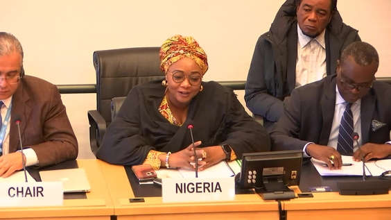 517th Meeting, 36th Session, Committee on Migrant Workers (CMW)