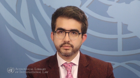 Sebastián Mantilla Blanco - Full Protection and Security in International Investment Law