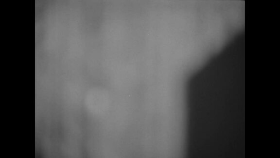 1176th Meeting of Third Committee