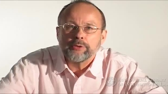 Rein Müllerson - Democratization and International Law