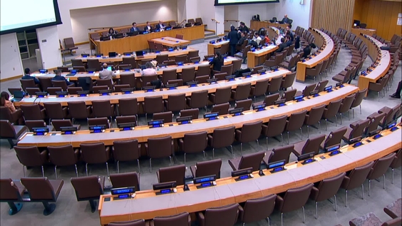 (21st plenary meeting) Committee on Non-Governmental Organizations, 2025 resumed regular session, Economic and Social Council