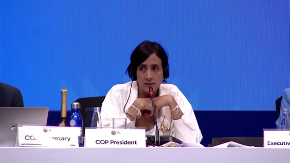 Closing plenary session at COP16 – United Nations Biodiversity Conference 2024