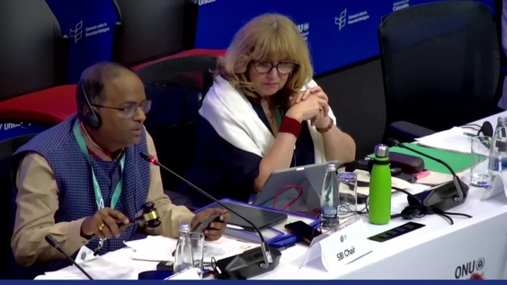 SBI-5: Plenary 6 at COP16 – United Nations Biodiversity Conference 2024