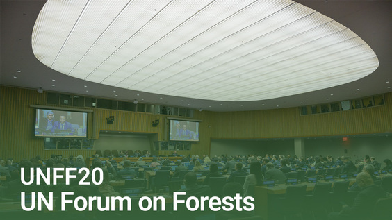 (3rd meeting) UN Forum on Forests, 20th session (UNFF20)