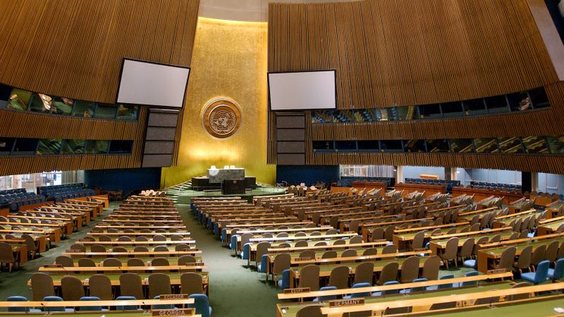 Assemblée générale,  88e séance plénière, 76e session