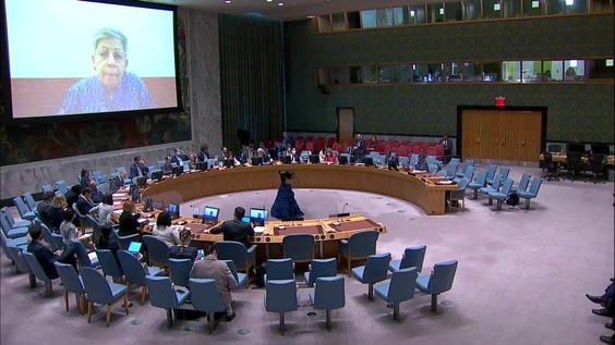 The situation concerning Iraq - Security Council, 9034th meeting