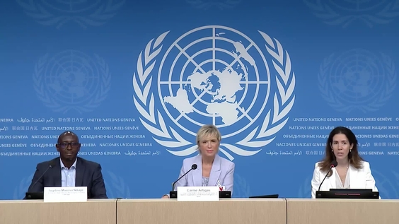 Office of the Secretary-General's Envoy on Technology - Press Conference