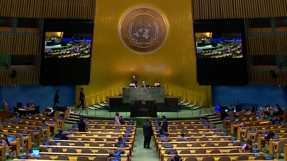 联合国大会第78届会议 - 第38次全体会议