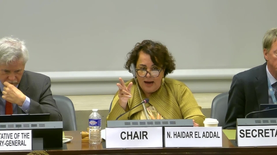 3008th Meeting, 93rd Session, Committee on the Elimination of Discrimination against Women (CEDAW)
