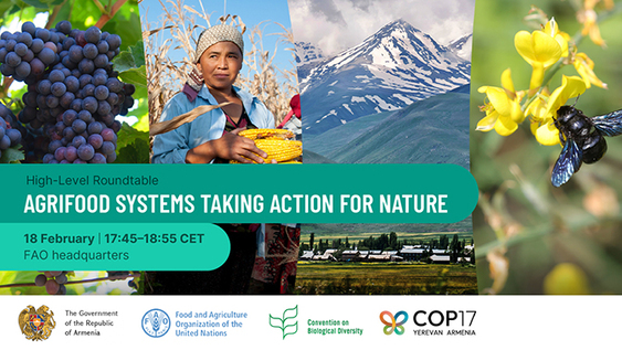 FOOD AND AGRICULTURE ORGANIZATION - FAO