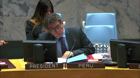8584rd Security Council Meeting: Situation in Democratic Republic of Congo