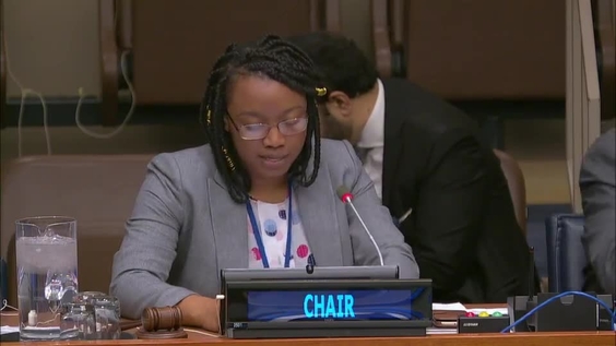 First Committee, 28th meeting - General Assembly, 73rd session