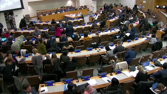 Third Committee, 51st meeting - General Assembly, 74th session