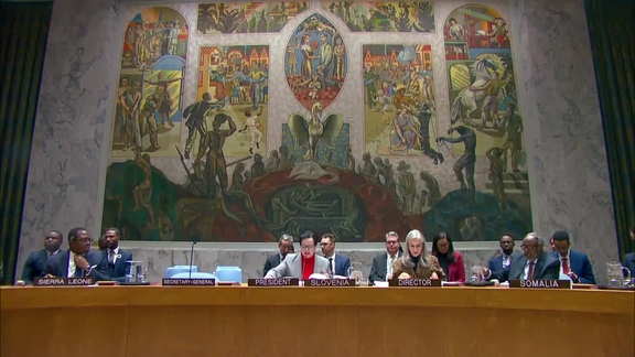 Peace and security in Africa - Security Council, 10064th meeting