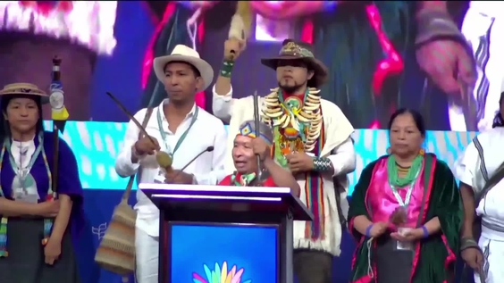 Plenary 1 at COP16 – United Nations Biodiversity Conference 2024